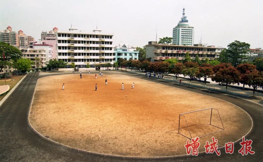 60张照片回忆成长,60多张老照片的回忆