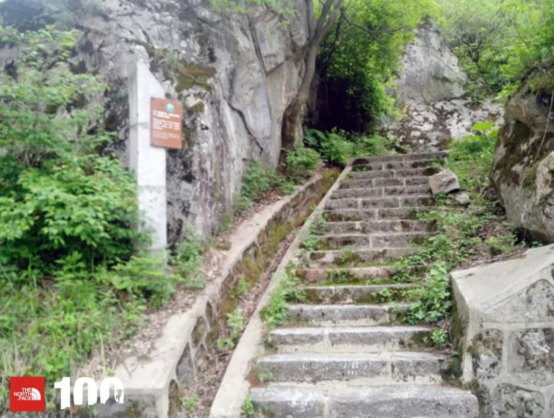 tnf100官网成绩查询,tnf100秦岭国际越野跑