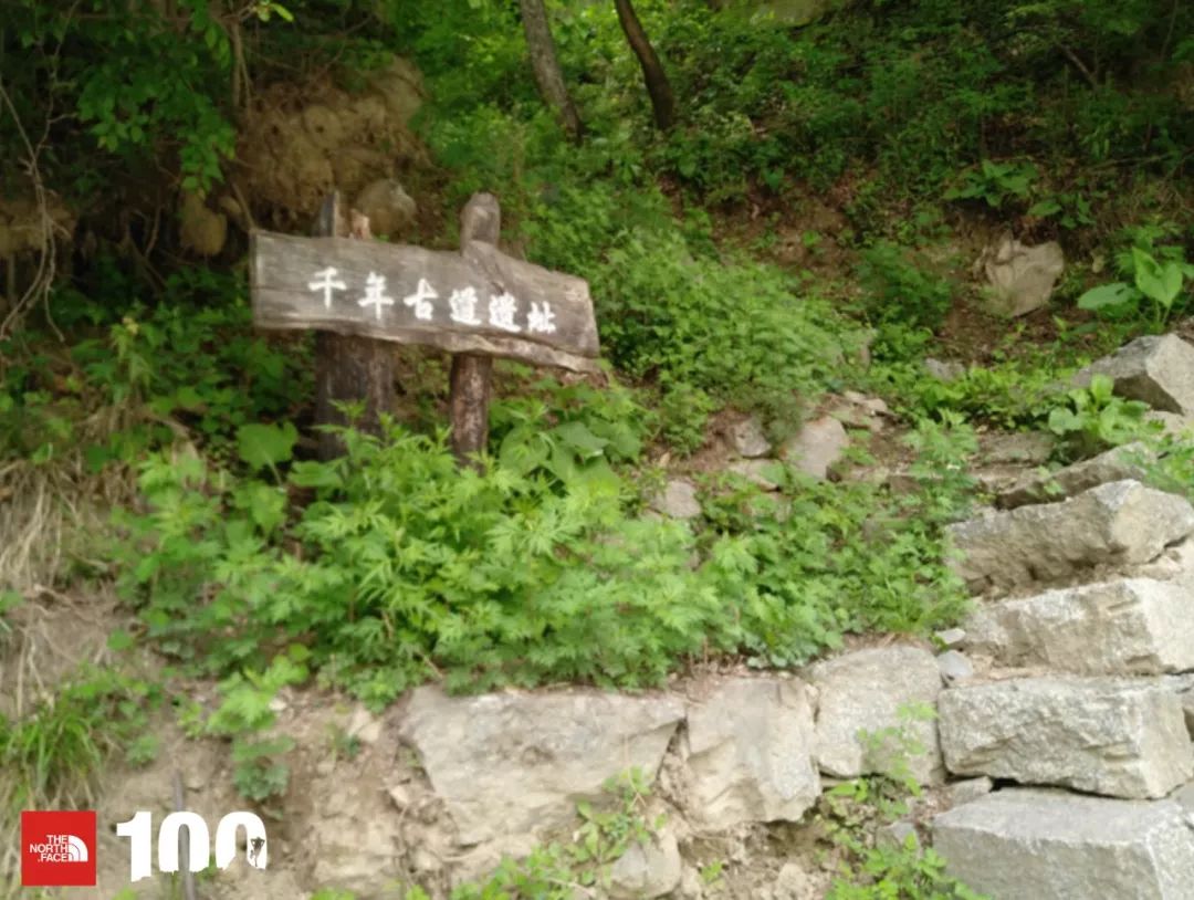 tnf100官网成绩查询,tnf100秦岭国际越野跑