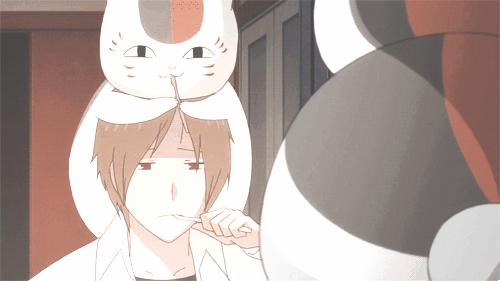 “戳爷”号召庆祝“同志骄傲月”；宠物需植入芯片写入日本法规；提供高视野的“潜望镜”眼镜…「设计烩报135期」