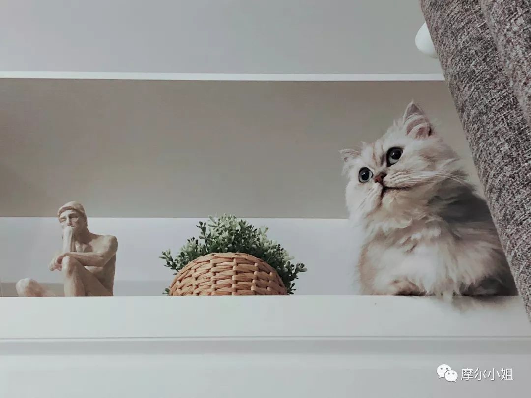 618必买单品有哪些 (618网店有哪些)