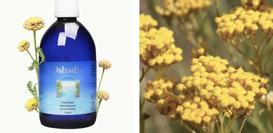 人鱼公主嫌弃婆家穷,人鱼公主下嫁却遭婆婆嫌弃