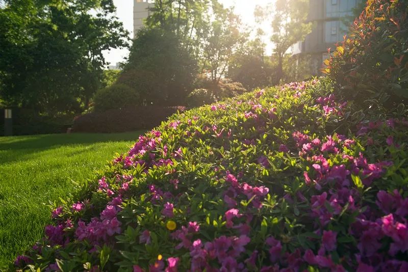 操盘：二线城市豪宅如何营销？用这3道3术夺冠三年