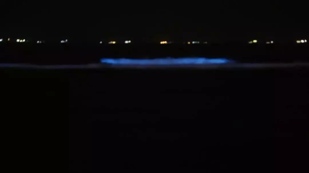 秦皇岛最新招生公告,秦皇岛市高中招生名额公告