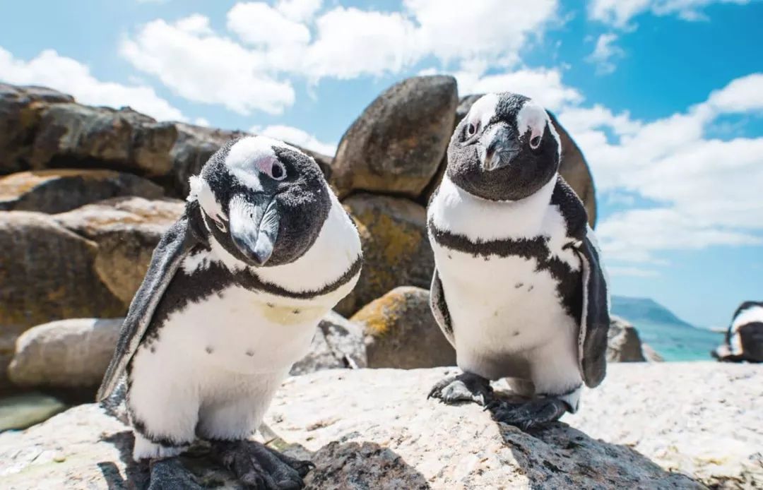 娴锋哗鎯呭湥,璧拌繃涓栫晫涓婃渶缇庣殑椋庢櫙