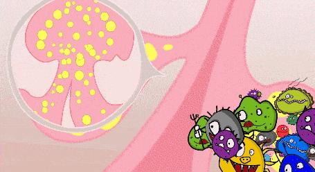 10鍒嗛挓娓呴櫎榛戝ご绮夊埡,榛戝ご绮夊埡鎸ゅ帇娓呯悊姣涘瓟绮楀ぇ