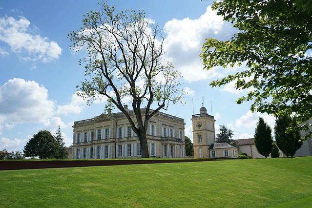 波尔多红酒美景,法国巴黎的红酒