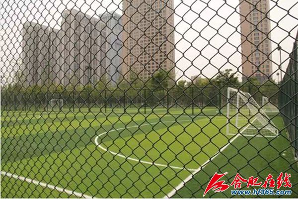 合肥中央公园有哪些景点,合肥再添新地标