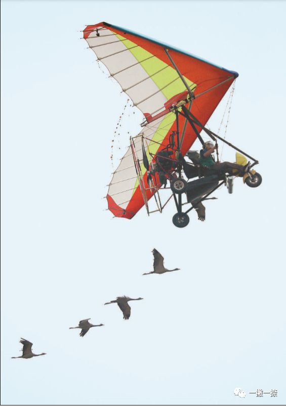 人民日报年度最佳照片,人民日报推荐的好照片