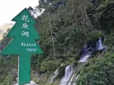 玉溪至甘庄高铁,玉溪至长沙动车