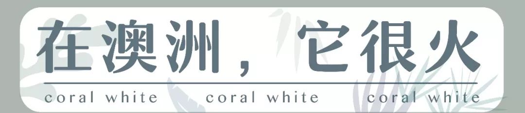 婢虫床妫灄椁愬巺,brunch缃戠孩椁愬巺