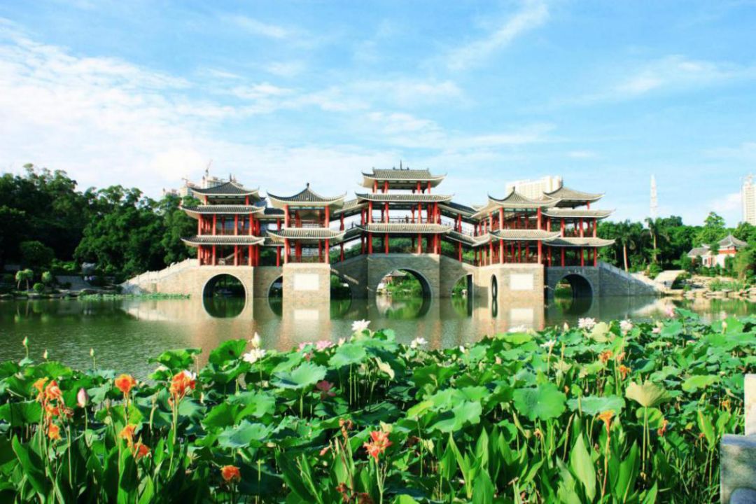 这个夏天，一起来狮山公园观竹赏荷吧！