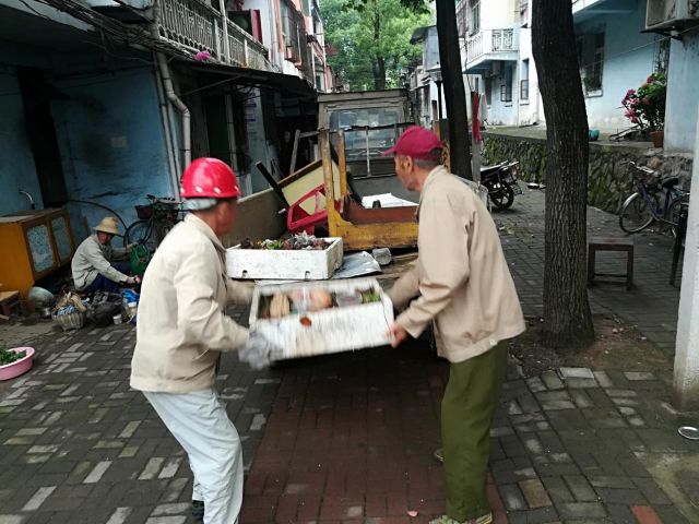 文明城市创建的行动,文明创建行动视频