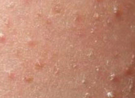 副业天后吊打正军天团，“不务正业”竟成全球最富ICON