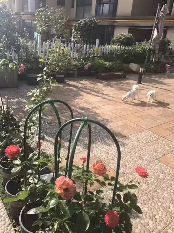 打造美好幸福的家,打造一片天地