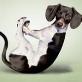 太极实业股吧最新消息,太极实业股吧