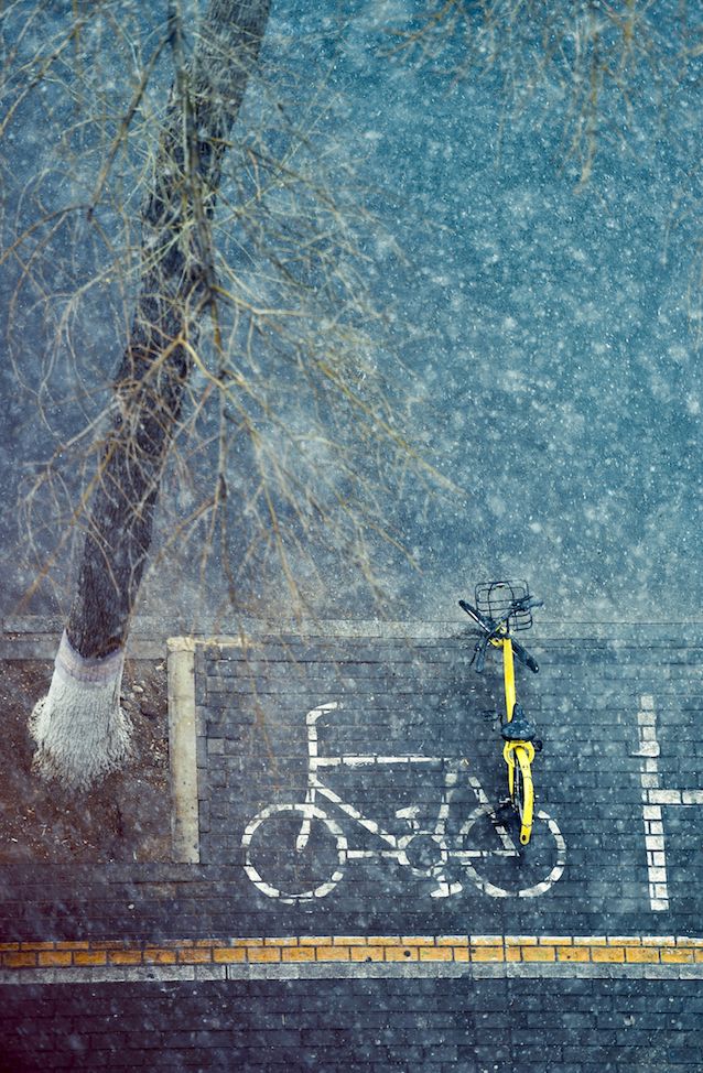 ofo的终场,ofo最后的结局