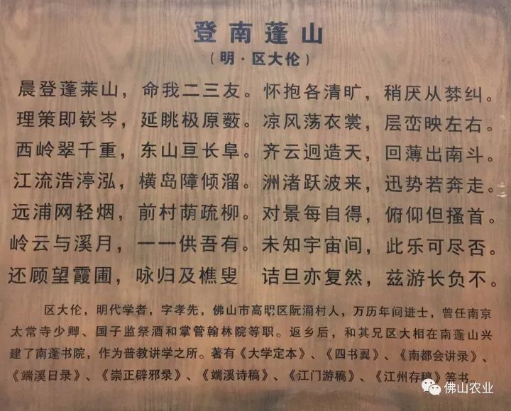 学霸村7年出3位状元,高明走出来的学霸