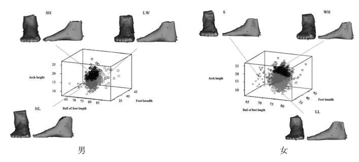 罗马脚埃及脚希腊脚的区别,罗马脚和希腊脚香港脚