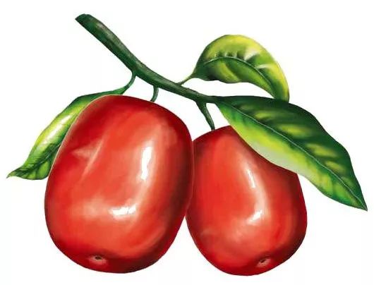 等你!认领相枣树,延续你与它的千年之约~