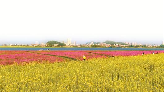荆州石首长江大保护的范围,石首市长江大保护