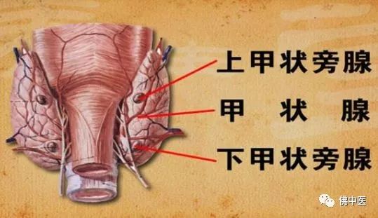 骨质破坏和骨癌诊断,怪病全身肿瘤