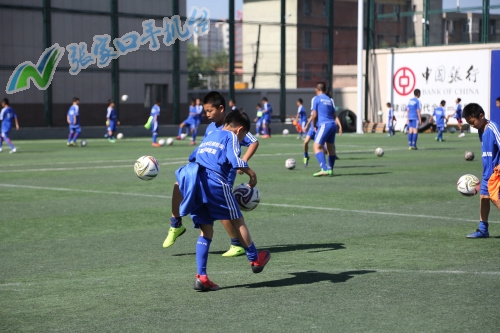 加油吧少年足球视频,加油吧少年足球