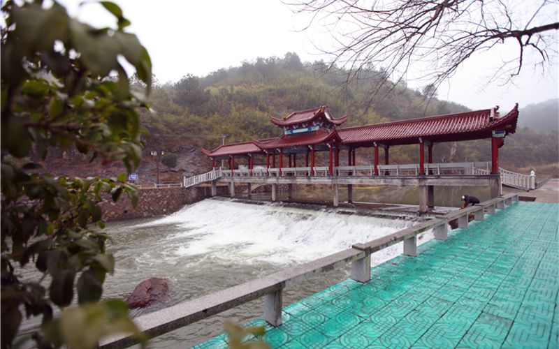 家门口的河道颜值内涵双提升,家门口的河道变美了