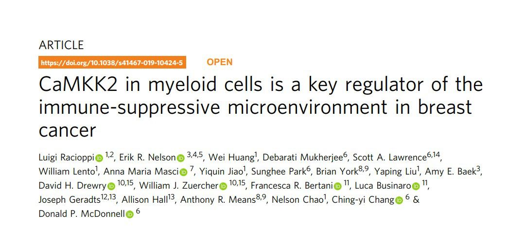 乳腺癌免疫治疗疗效怎么样,乳腺癌免疫治疗效果如何