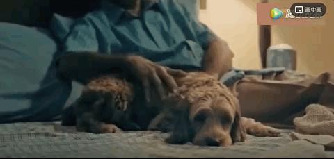 我终于战胜了抑郁症,感谢医生治好了抑郁症