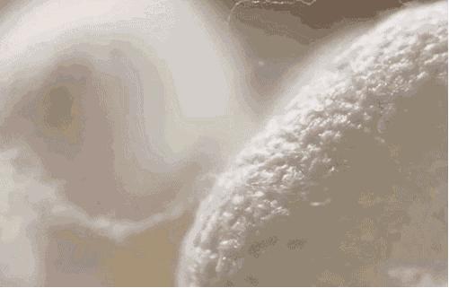 蚕丝被不盖怎么处理,盖蚕丝被的好处还是坏处