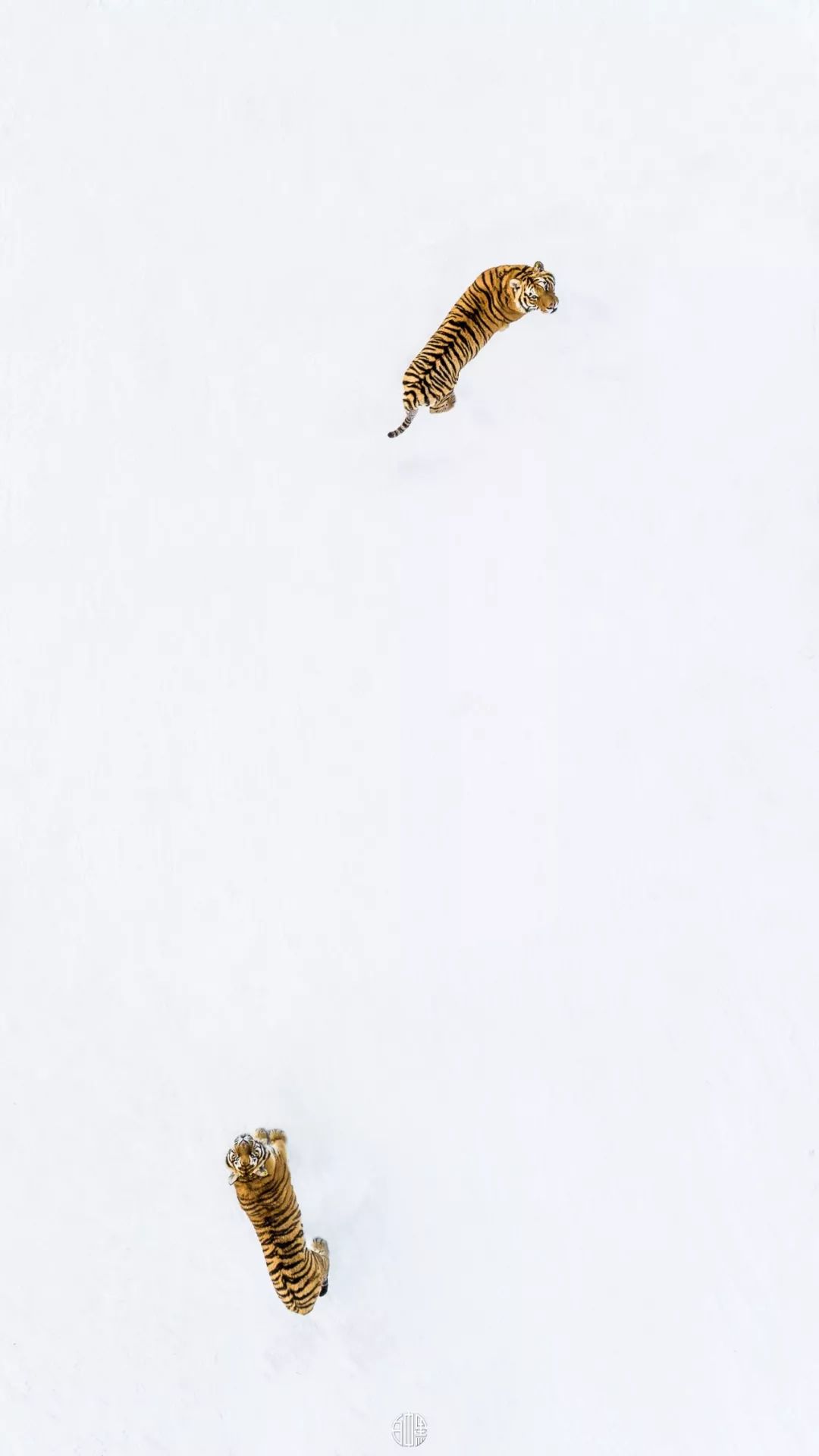 「荐读」朋友圈消失两年，他独自航拍中国，照片惊艳世界