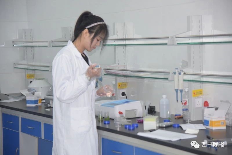 西宁市爱老幸福食堂网点,西宁市城北区有爱老幸福食堂吗