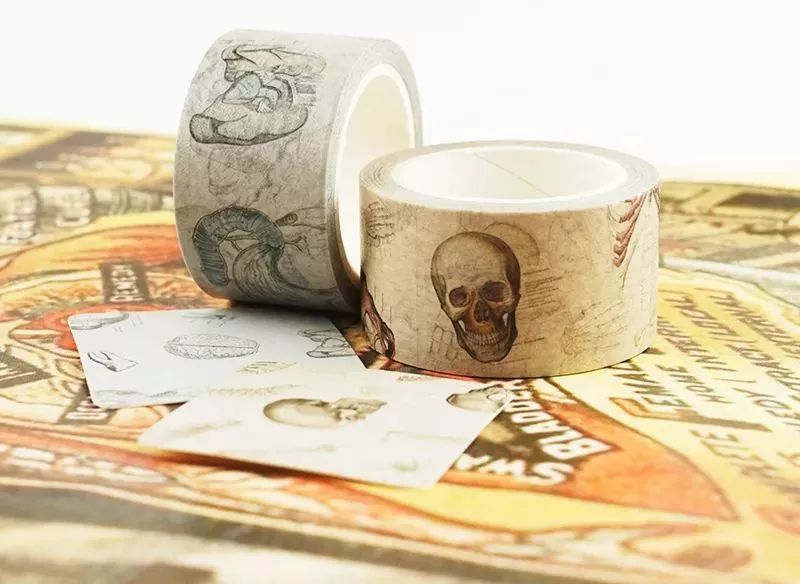 我就不信，只有我一个人想试试人体解剖丨好物推荐