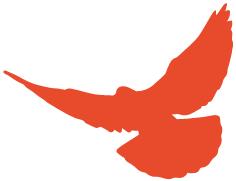 进口的红茶,英国进口红茶代购