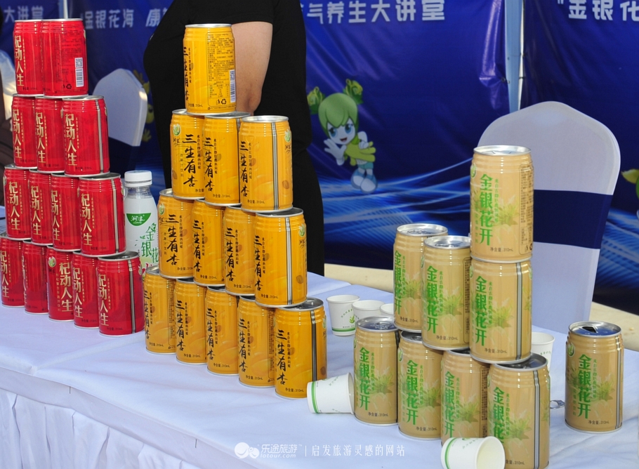 巨鹿县靠两果一花28年干了这么多大事