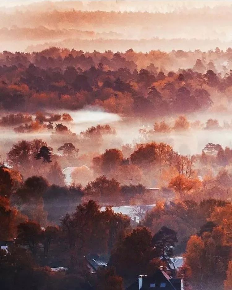 一个丑女穿上裙子惊艳所有人,女兵穿上裙子惊艳全场