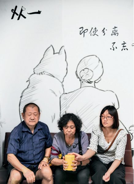 对于宠物死亡最美好的诠释,宠物的生命一样值得好好对待