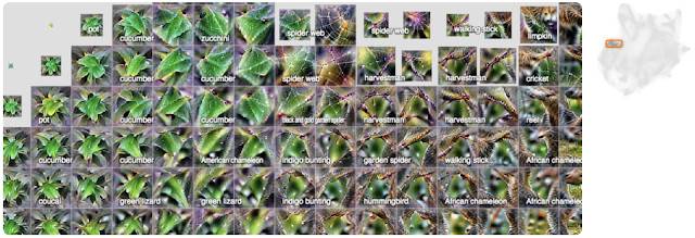 谷歌和openai联合推出的ai叫什么,谷歌发动对openai的最强反击