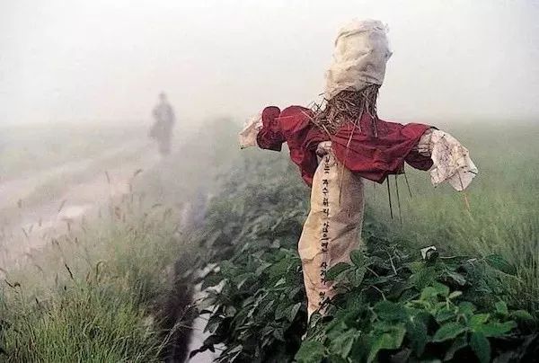 杀人回忆凶手原型是电影里哪个人,杀人回忆的真正凶手结局