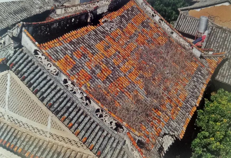 「人文宾川」古院沧桑，古树依然，这里的“花海”盛开在六月——李氏宗祠火把花