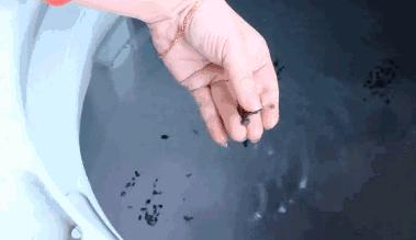 洗衣机加水有臭味怎么办,洗衣机污垢和霉菌