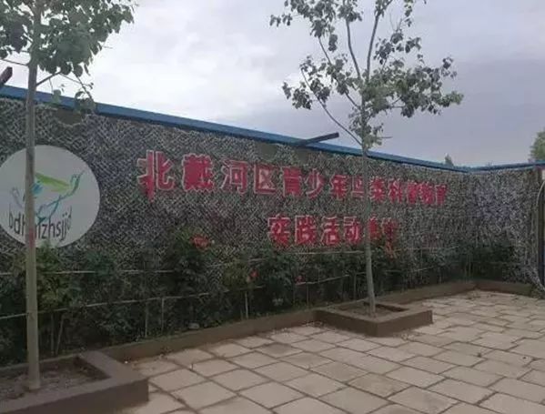 北戴河玩海夏令营,暑期海滨夏令营