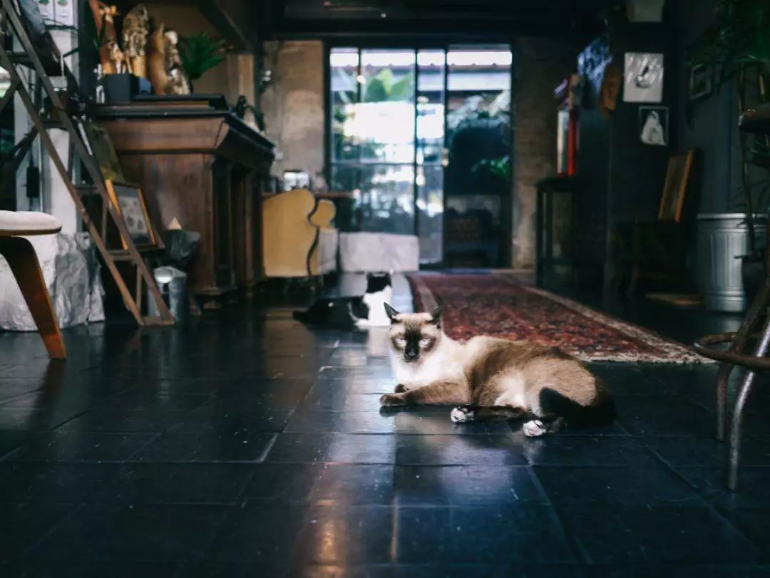 当代年轻人开房规定,年轻人开房规定