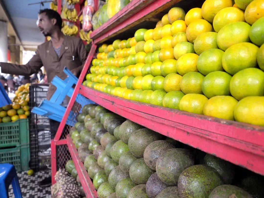 牛油果是否骗人,牛油果是个骗局么