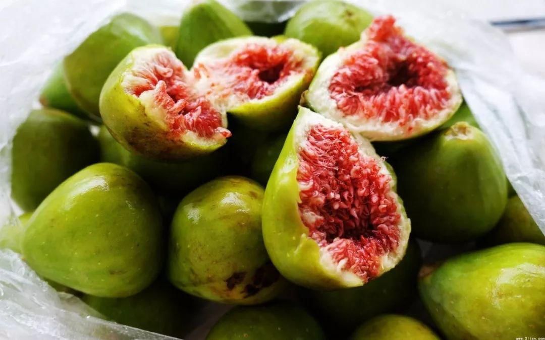 别怪俺没提醒你！这几天千万别去蓬莱，不然有你好果子吃！