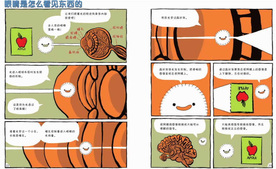 漫画物理和物理启蒙哪个更实用,看物理漫画书