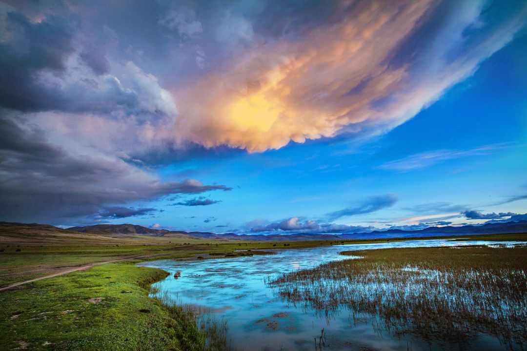 山南在哪里买手机,山南在哪里卖黄金