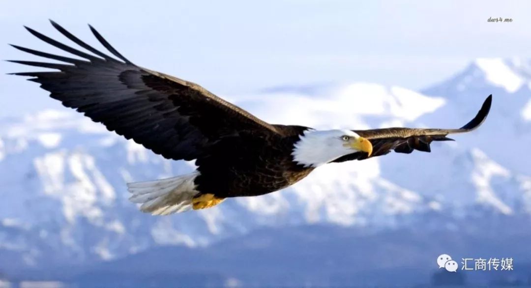 从乒乓国手到交易员，他用“买入秃鹰策略”1年内获利翻倍