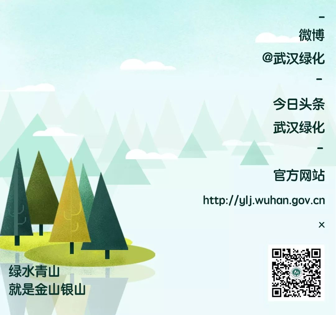 到这十条林荫道上走一走，每条都能邂逅俊男美女